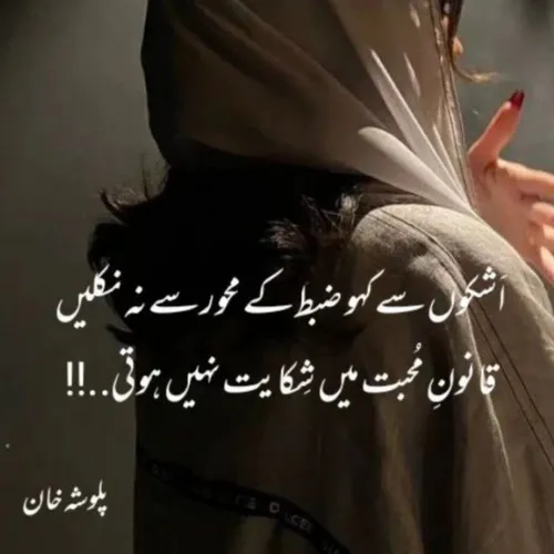 Funny shayari WhatsApp group