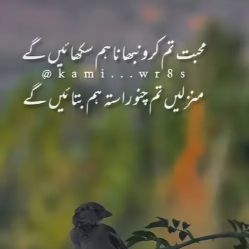 Pashto shayari WhatsApp group link
